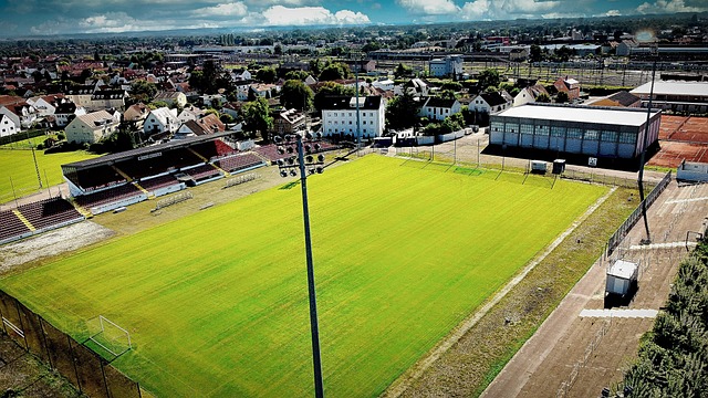 观众而言 观众而言