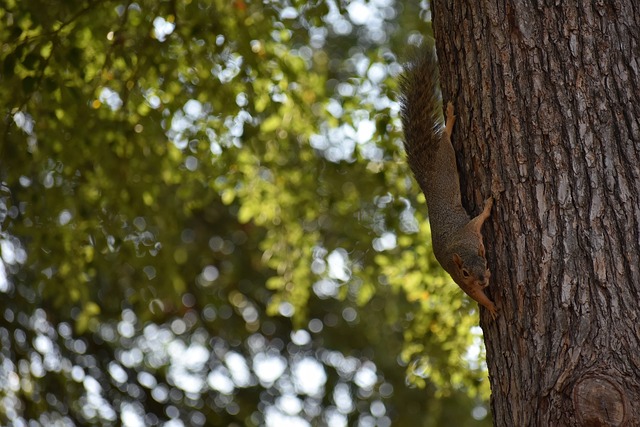 稳固到中场 稳固到中场