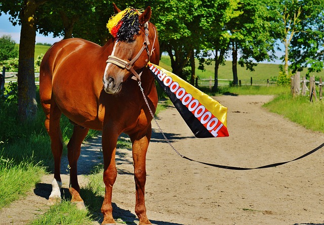 戏爱好者来 戏爱好者来